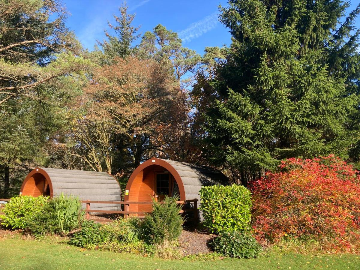 Glamping Hut - By The Way Campsite تيندروم المظهر الخارجي الصورة